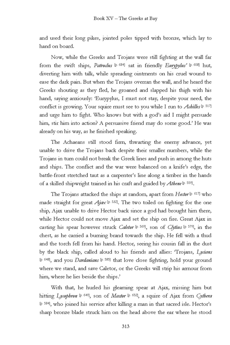 The Iliad - Page 307